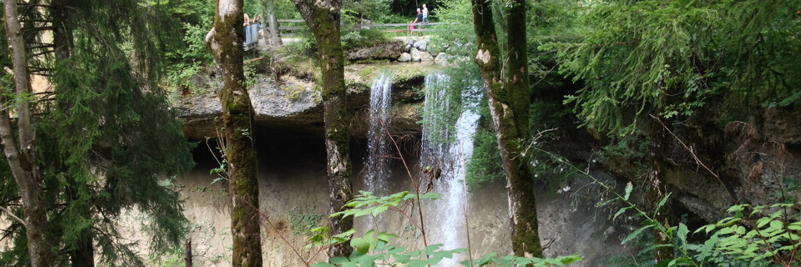 Scheidegger Wasserfälle