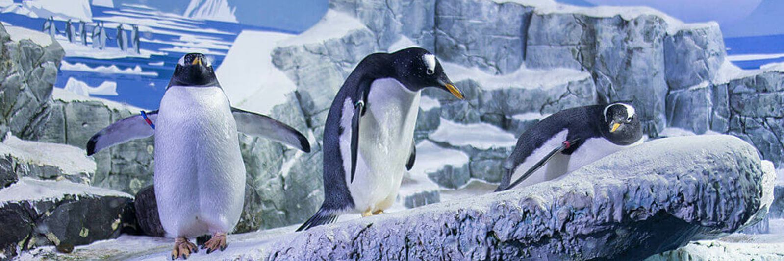 Sea Life / Konstanz