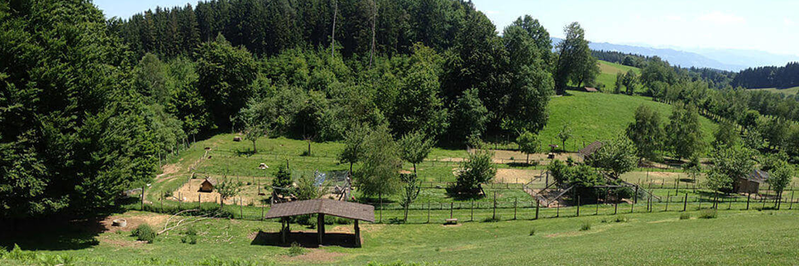 Wildpark Sonnenhalde / Neukirch