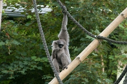 hellabrunn 1.min