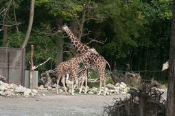 hellabrunn 2.min