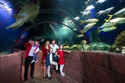 sealife konstanz 1.min