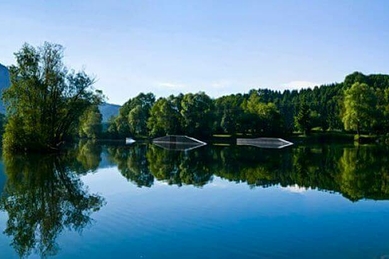 Inselsee Allgäu