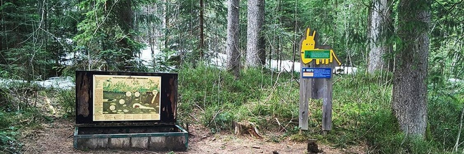 Kuhnigundenweg