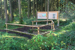 bodenlehrpfad 1