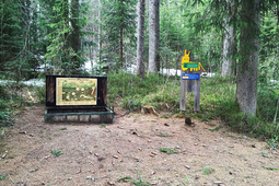 kuhnigundenweg 3