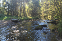 wasserweg 2
