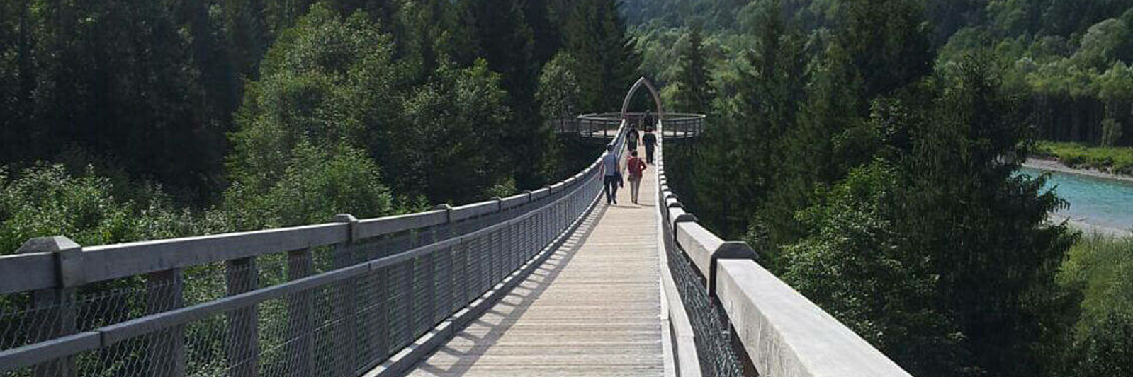 Baumkronenweg Ziegelwies