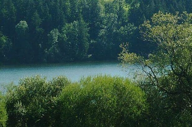 Niedersonthofener See