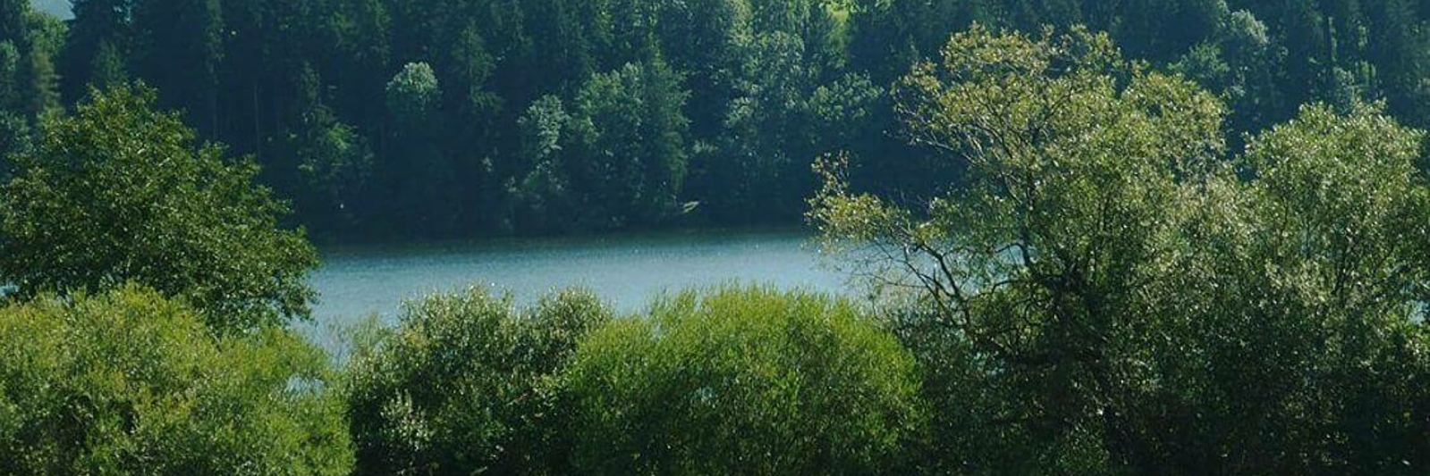 Niedersonthofener See