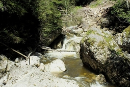 starzlachklamm 11