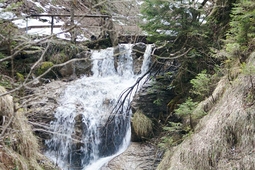 wasserfallweg nesselwang 3