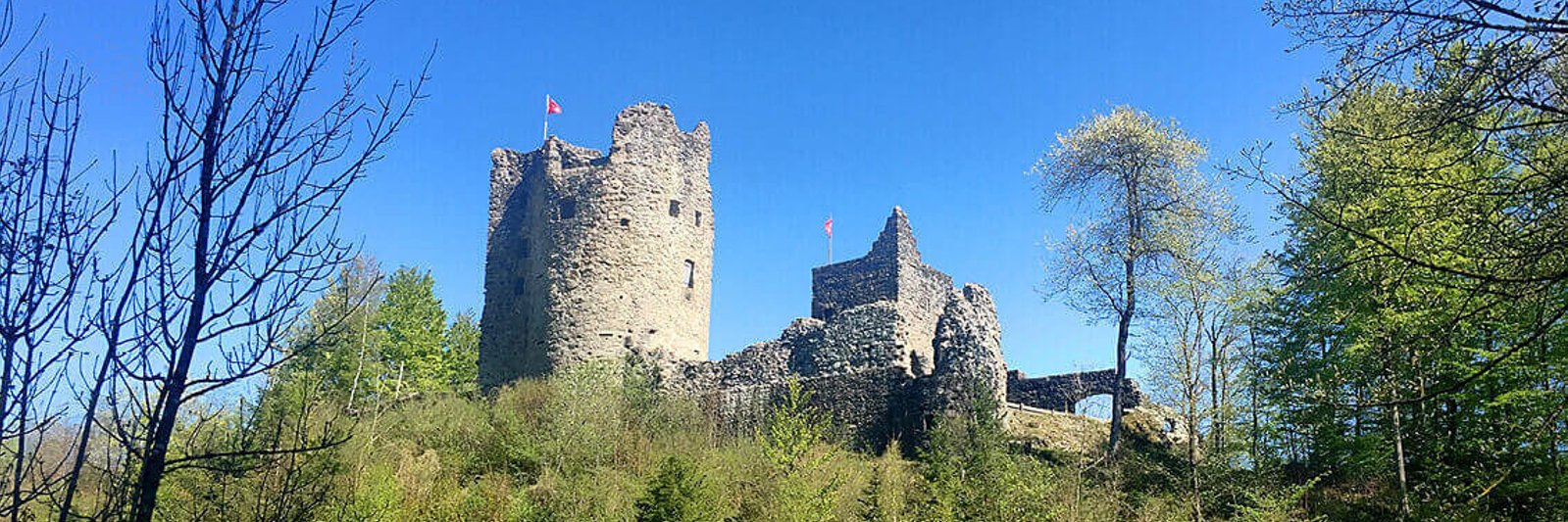 Burg Laubenbergerstein