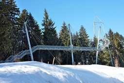 skywalk allgaeu scheidegg 1