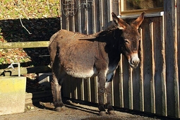 doppelmayr zoo wolfurt 5