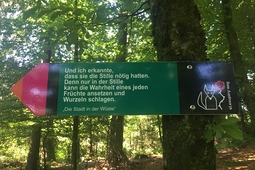 aphorismen zitate saint exupery argenbuehl 2