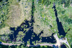 DJI 0156050618901