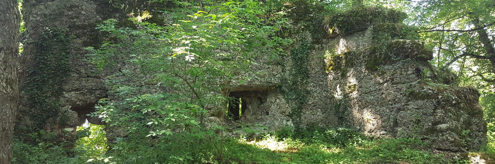 Burgruine Rothenstein