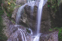 DSC0657