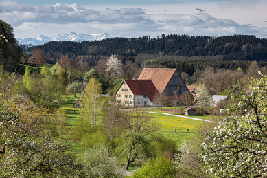 Bauernhaus-Museum / Wolfegg