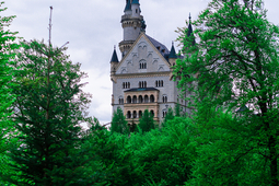 DSC5659