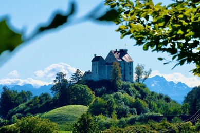 Schloss Waldburg