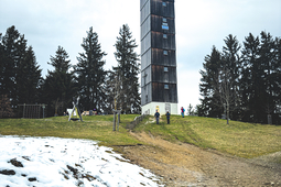 IMG 3978